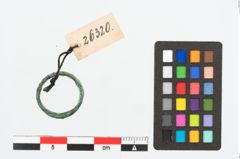 Foto von Bronzering (NHMW-PRAE-026320)